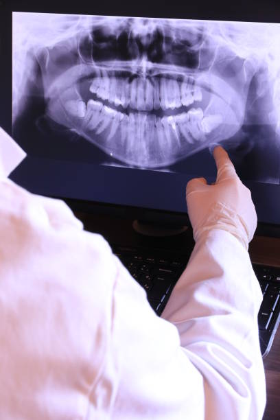 Best Emergency X-Rays and Diagnostics in Bethany, OR